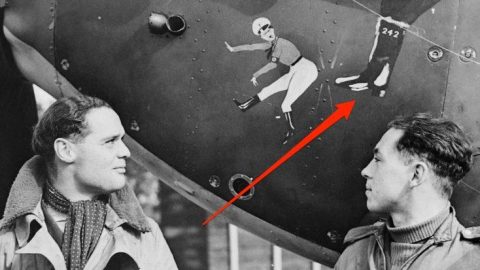 Ace Pilot Scored 22 Aerial Victories – And He Didn’t Have Any Legs | Frontline Videos