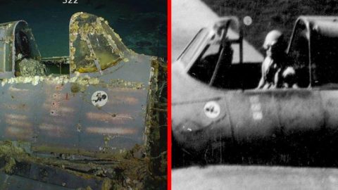 Wildcat Just Found At USS Lexington Wreck More Important Than You Think | Frontline Videos
