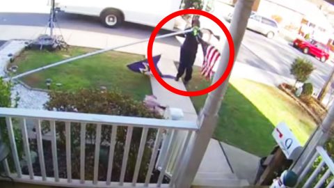 Stranger’s Fallen Flag Shown Honor By Marine Turned FedEx Driver | Frontline Videos